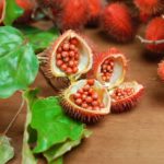 What is the difference between annatto and achiote?