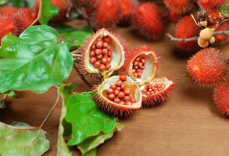 What is the difference between annatto and achiote?