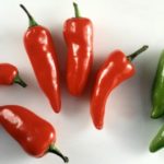 What is the difference between green and red jalapeno peppers?