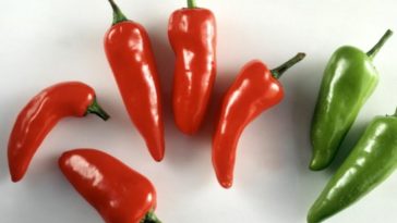 What is the difference between green and red jalapeno peppers?