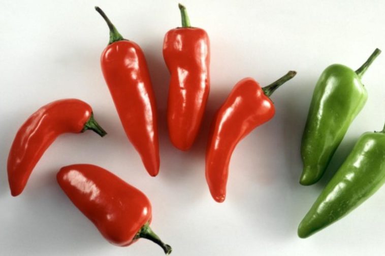 What is the difference between green and red jalapeno peppers?