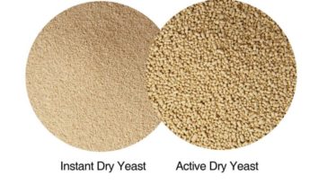 What is the difference between instant yeast and active dry yeast?