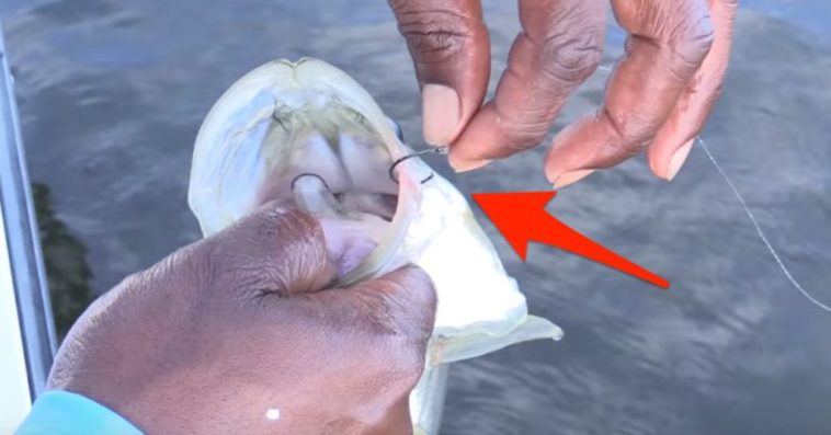What is the fastest way to remove salt from cod fish?
