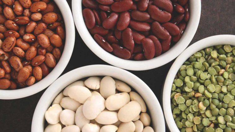 What is the healthiest bean you can eat?