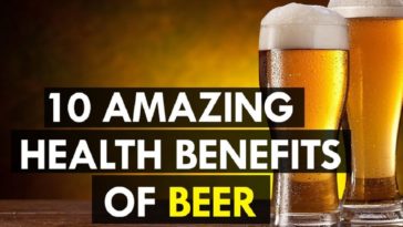 What is the healthiest beer?
