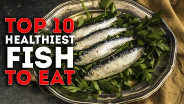 What is the healthiest fish to eat?