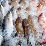 What is the healthiest frozen fish?