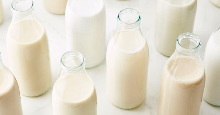 What is the healthiest milk?