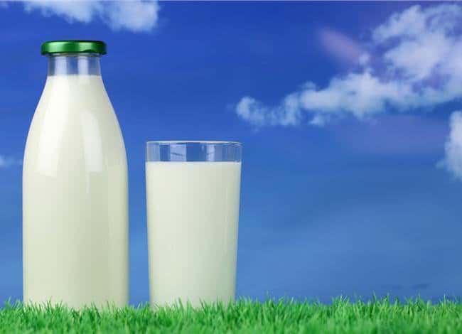 What is the healthiest milk to drink?