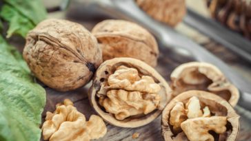 What is the healthiest nut to eat?