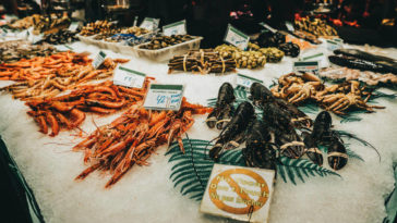 What is the healthiest shrimp to buy?