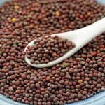 What is the hottest mustard in the world?