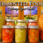 What is the importance of fermentation in food preservation?