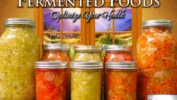 What is the importance of fermentation in food preservation?