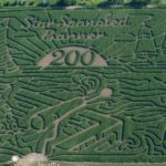 What is the largest corn maze in the world?