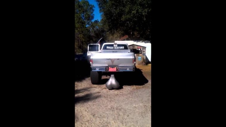 What is the largest nut?