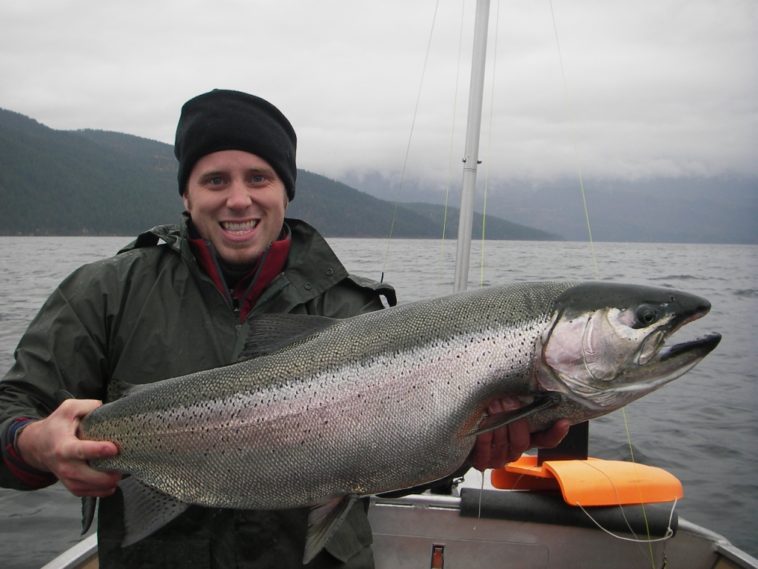 What is the largest rainbow trout ever caught?