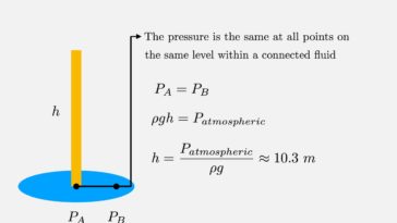 What is the longest vertical straw you can drink from?
