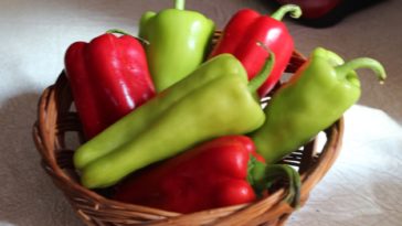 What is the mildest pepper?