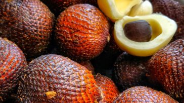 What is the most exotic fruit in the world?