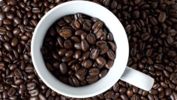 What is the most expensive coffee bean?
