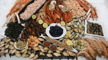 What is the most expensive seafood?