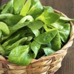 What is the most popular lettuce?