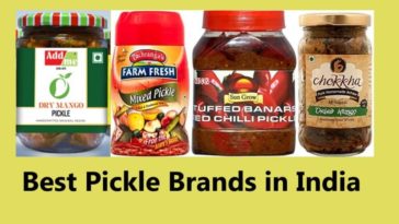 What is the most popular pickle brand?