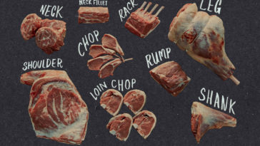 What is the most tender part of lamb?