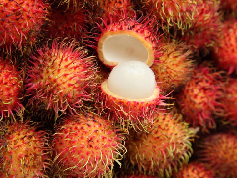 What is the most unusual fruit?
