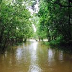 What is the problem with the Atchafalaya River?