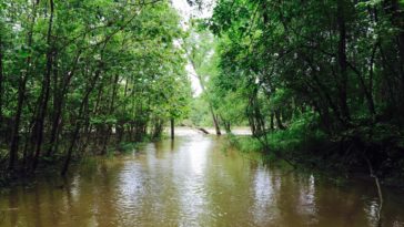 What is the problem with the Atchafalaya River?
