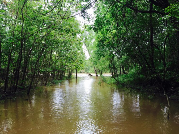What is the problem with the Atchafalaya River?