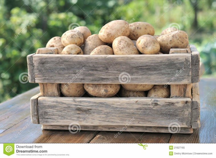 What is the purpose of a potato box?