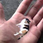 What is the smallest classical cut?