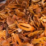 What is the spice called mace?