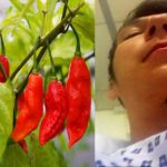 What is the spiciest thing in the world?
