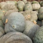 What is the sweetest squash?