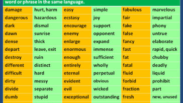 What is the synonym of meat?