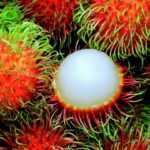 What is the tastiest fruit in the world?