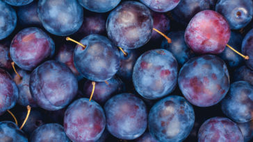 What is the tastiest plum?