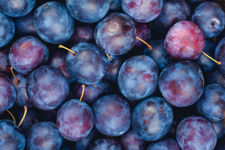 What is the tastiest plum?