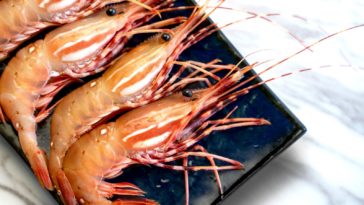 What is the tastiest shrimp?