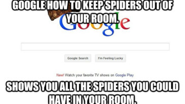 What keeps spiders out of your room?