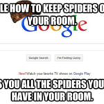 What keeps spiders out of your room?