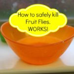 What kills fruit flies instantly?