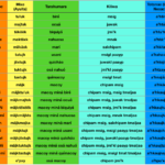 What language is spoken in Veracruz?