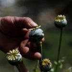 What medication is not allowed in Mexico?