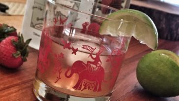 What mixer goes with strawberry and lime gin?