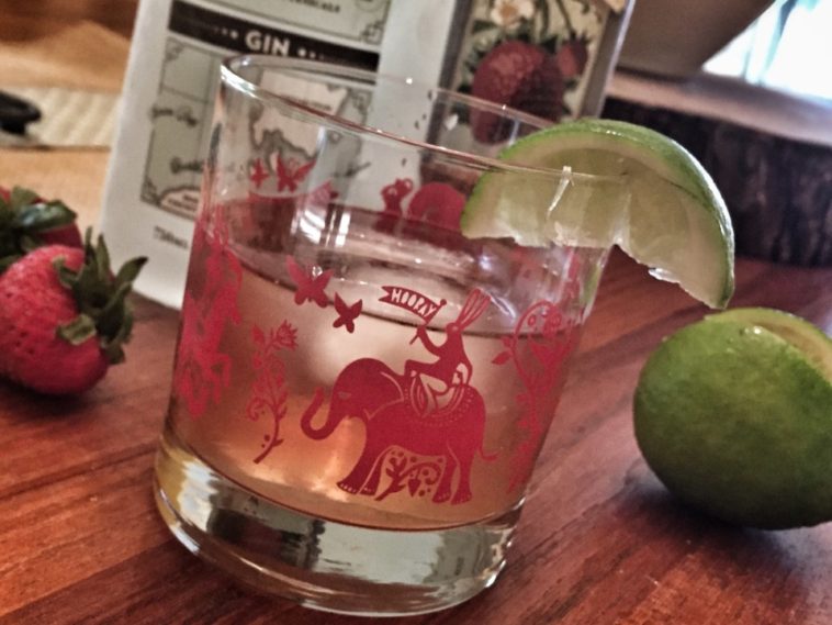 What mixer goes with strawberry and lime gin?